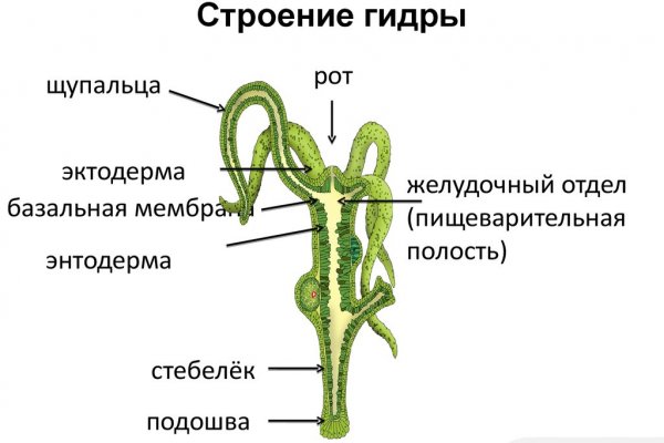 Кракен наркотики