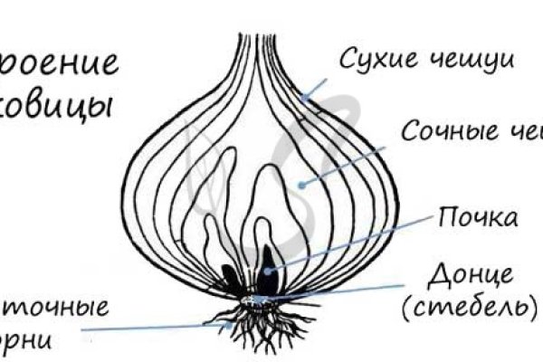 Кракен вместо гидры